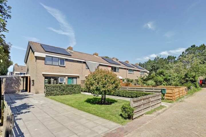 Foto 33 van Nicolaas Beetsstraat 10