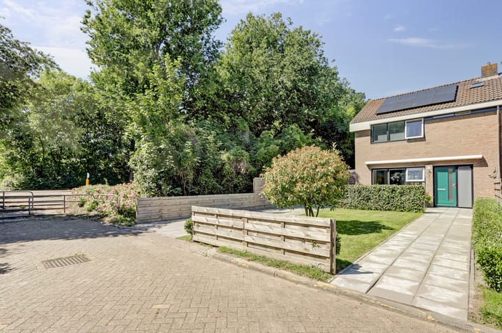 Foto 35 van Nicolaas Beetsstraat 10