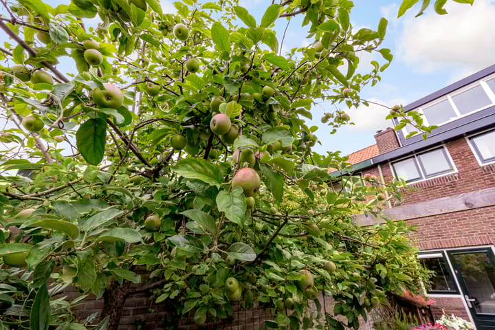 Foto 50 van Hoogravenseweg 153