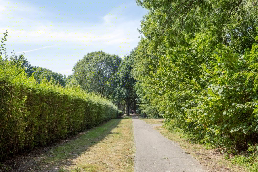 Foto 41 van Braakstraat 45