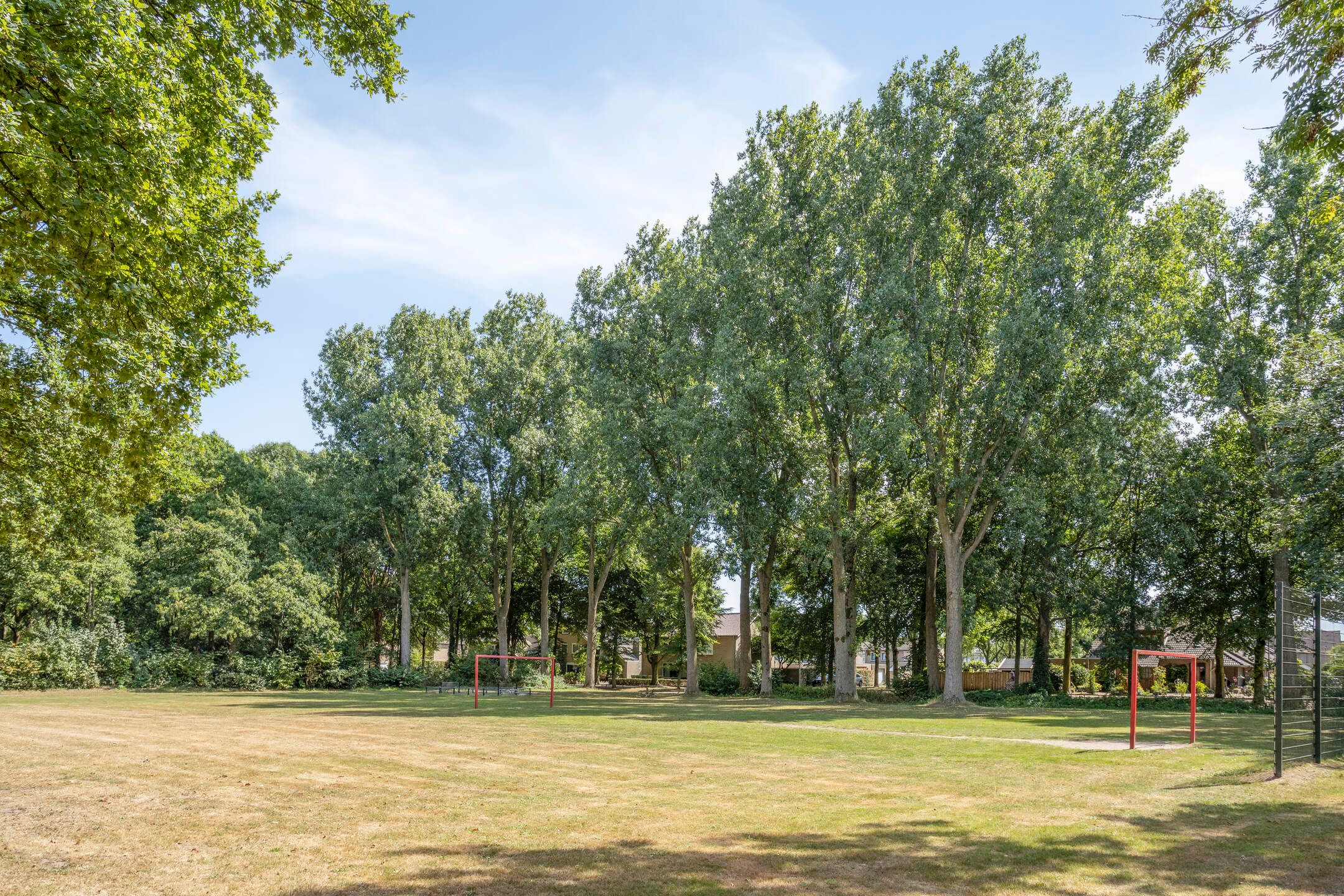 Foto 42 van Braakstraat 45