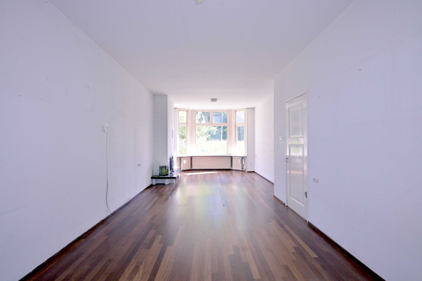 Foto 5 van Worp 5