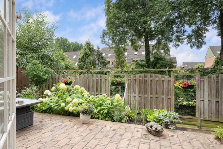 Photo 5 of Waldhoorn 37