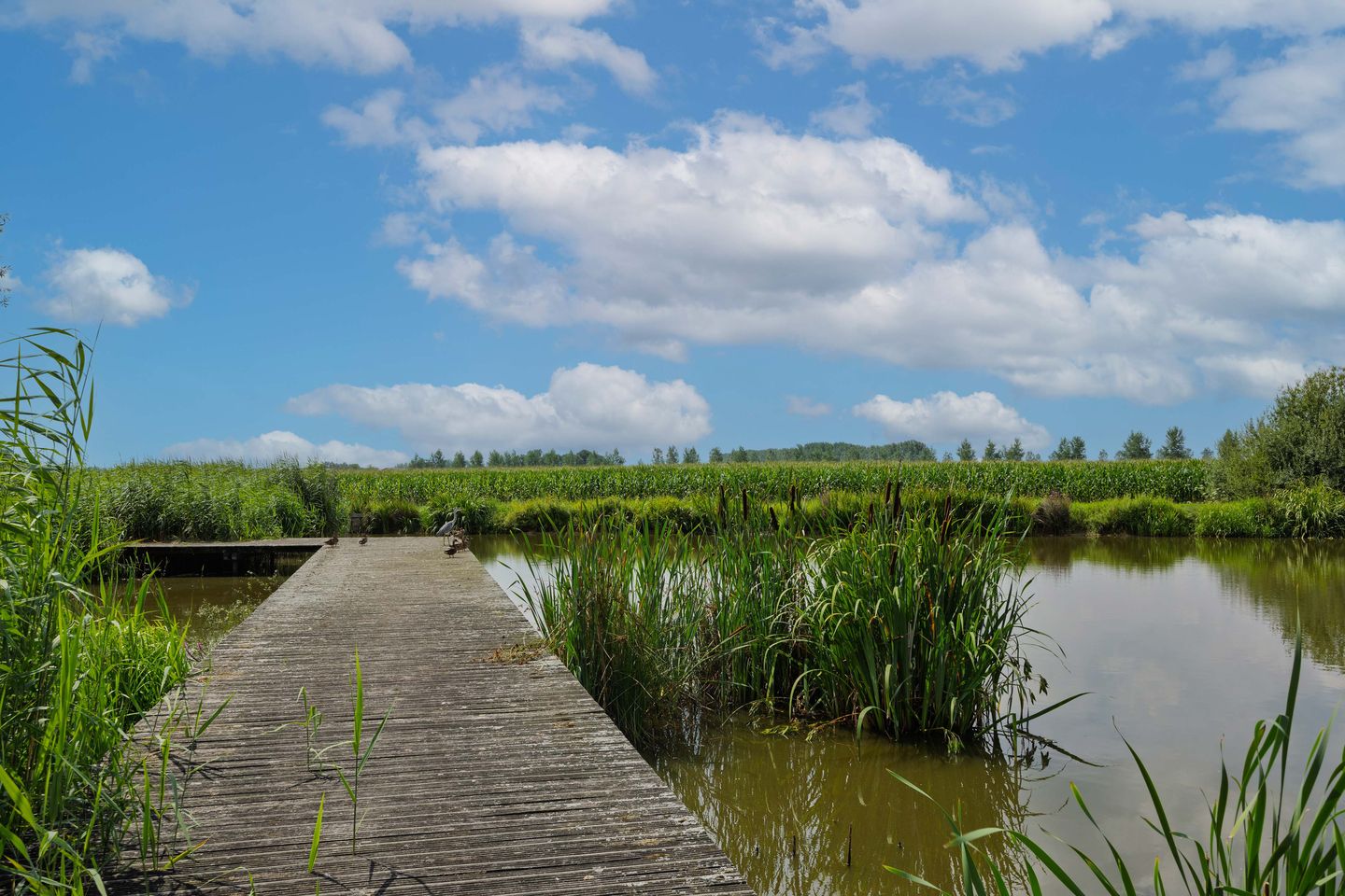 Photo 55 of Ouverturelaan 14