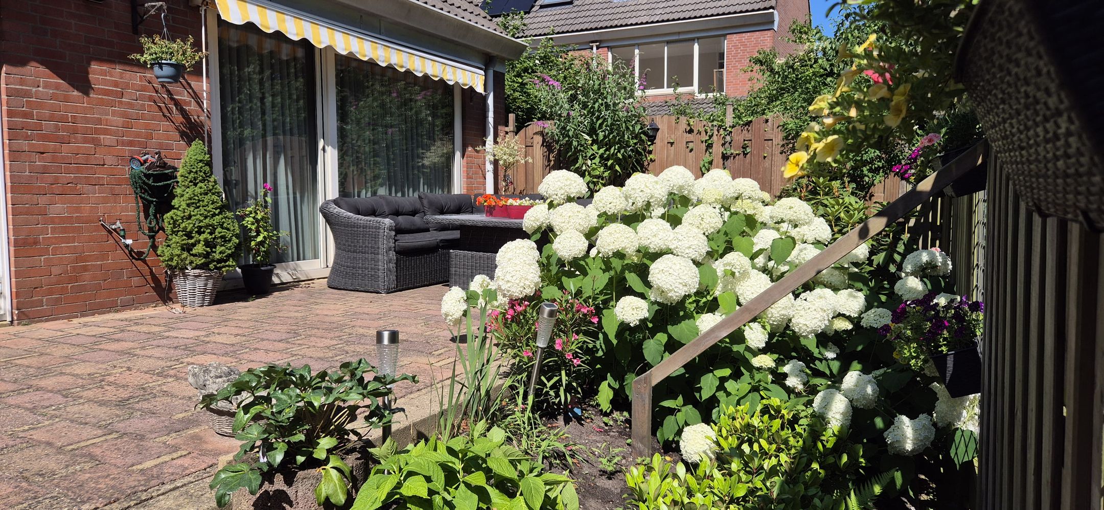 Foto 12 van Waldhoorn 37