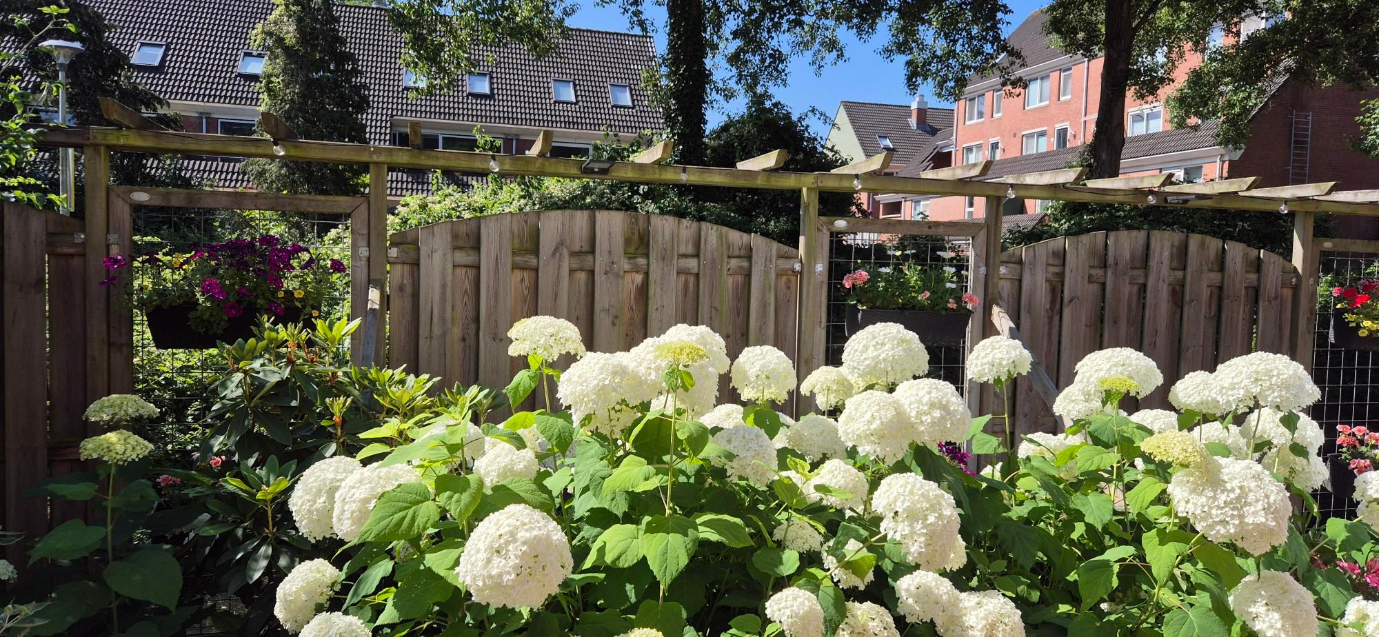 Foto 36 van Waldhoorn 37