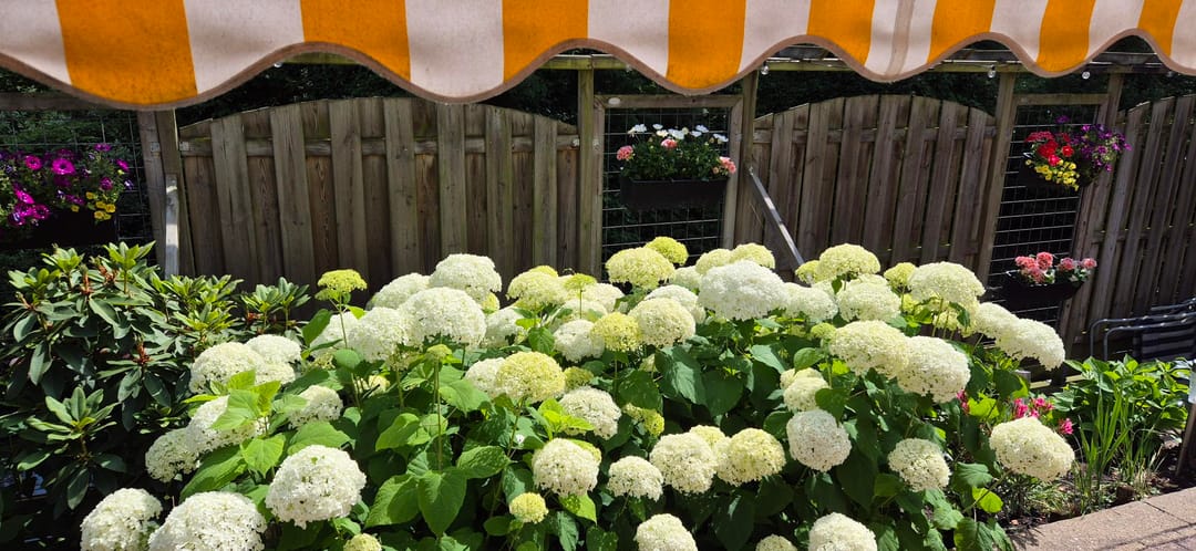 Foto 37 van Waldhoorn 37