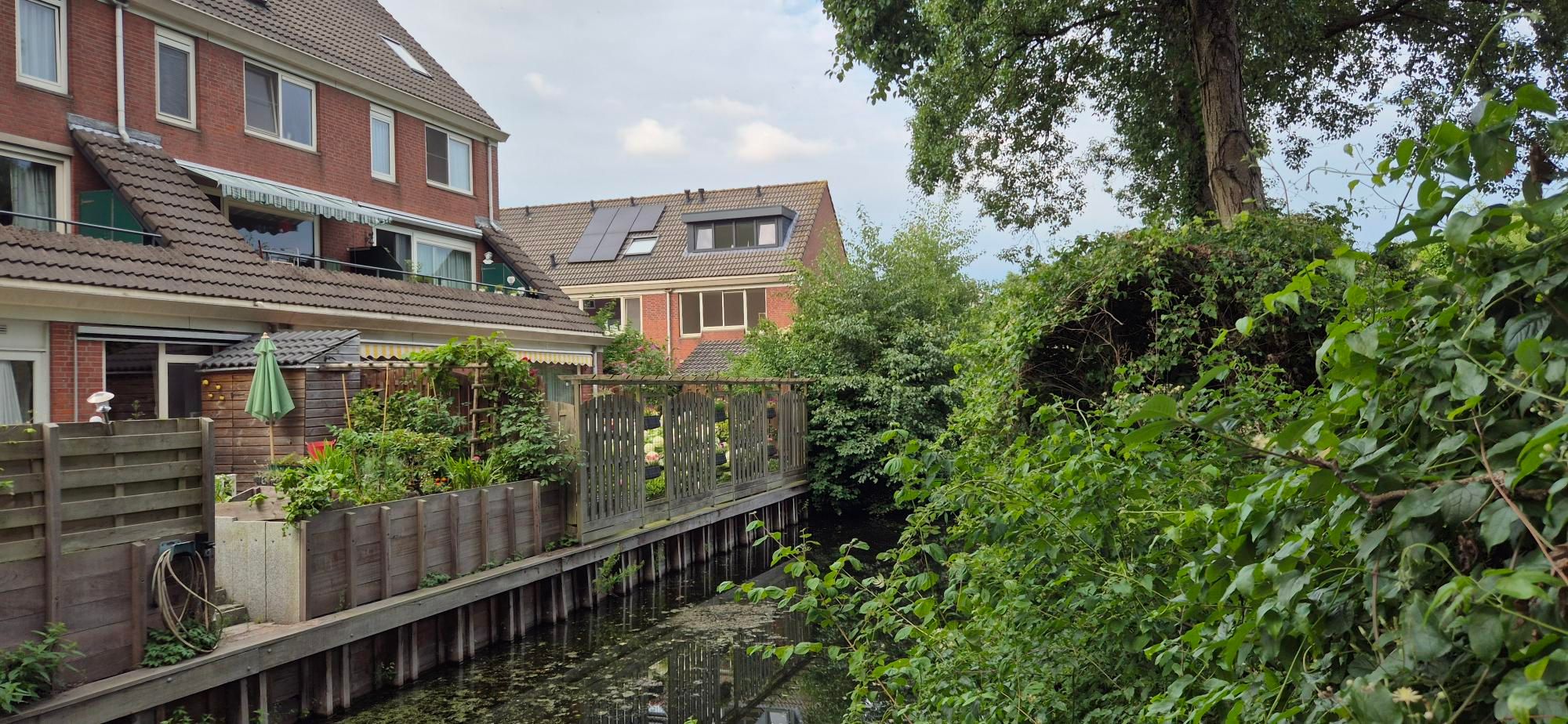 Foto 39 van Waldhoorn 37