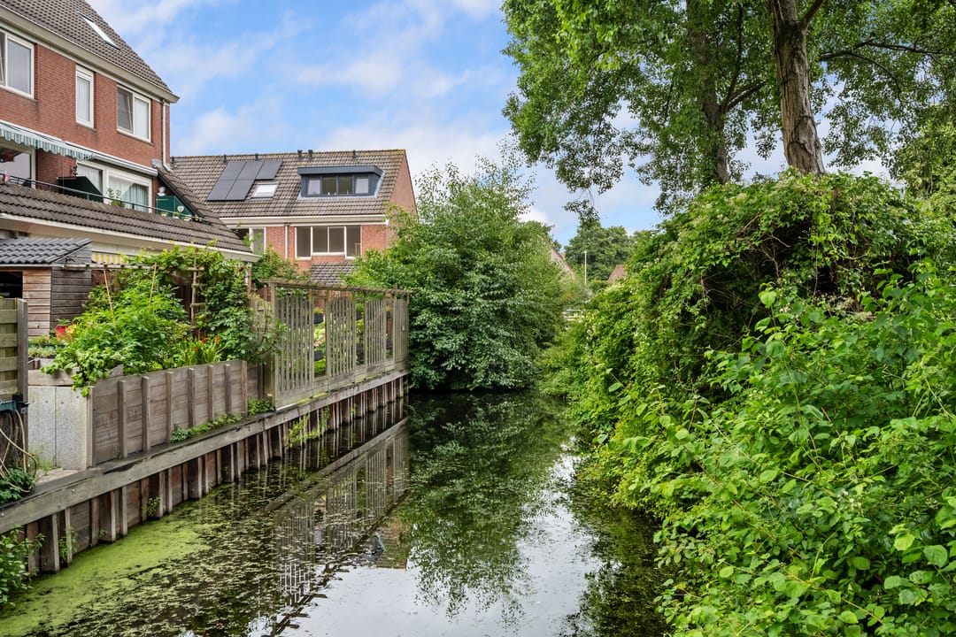 Foto 41 van Waldhoorn 37