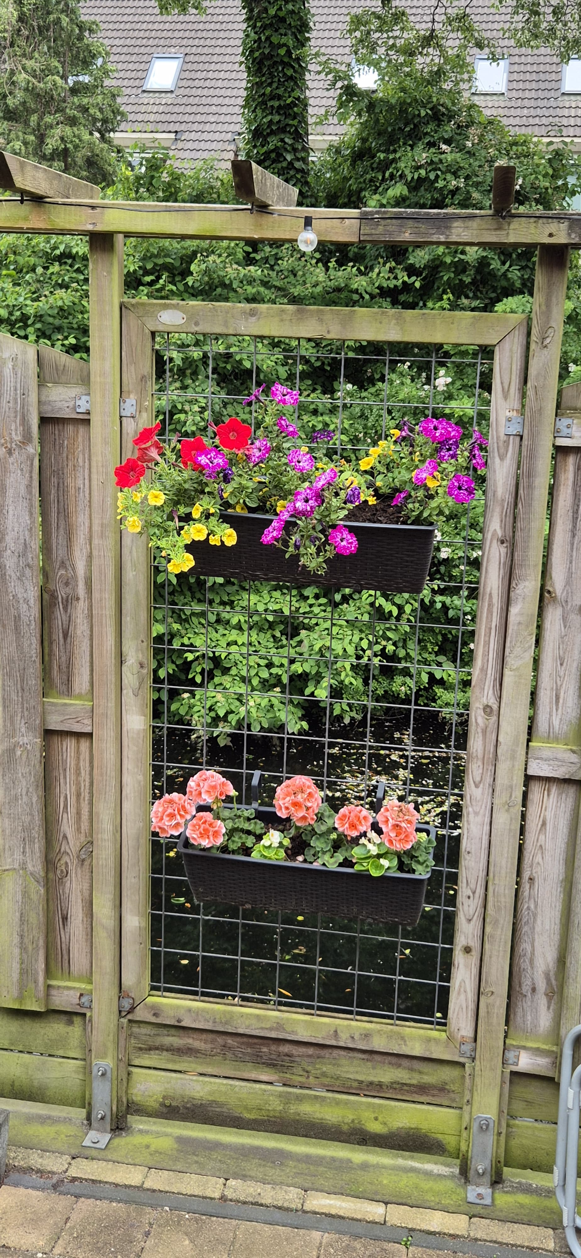 Foto 42 van Waldhoorn 37