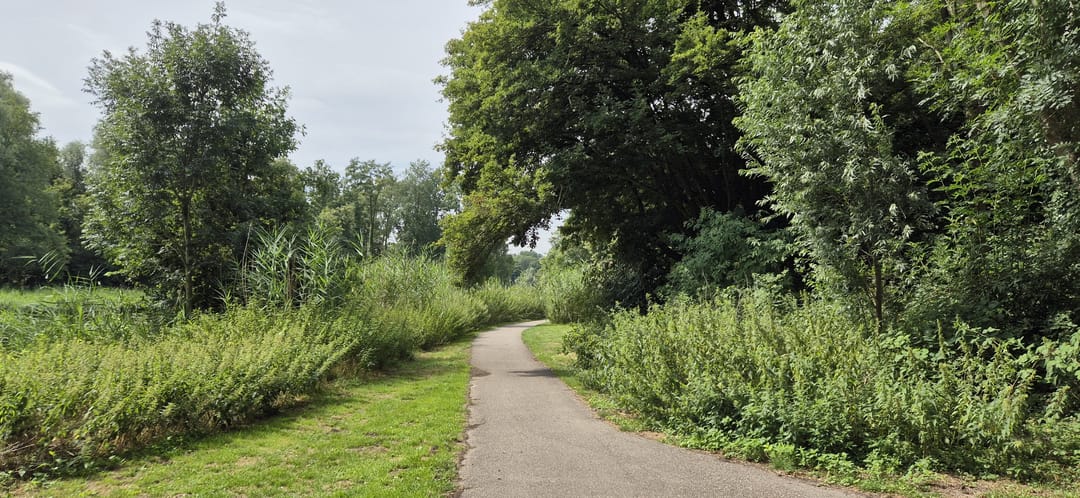 Foto 46 van Waldhoorn 37