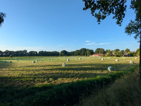 Bekijk foto's