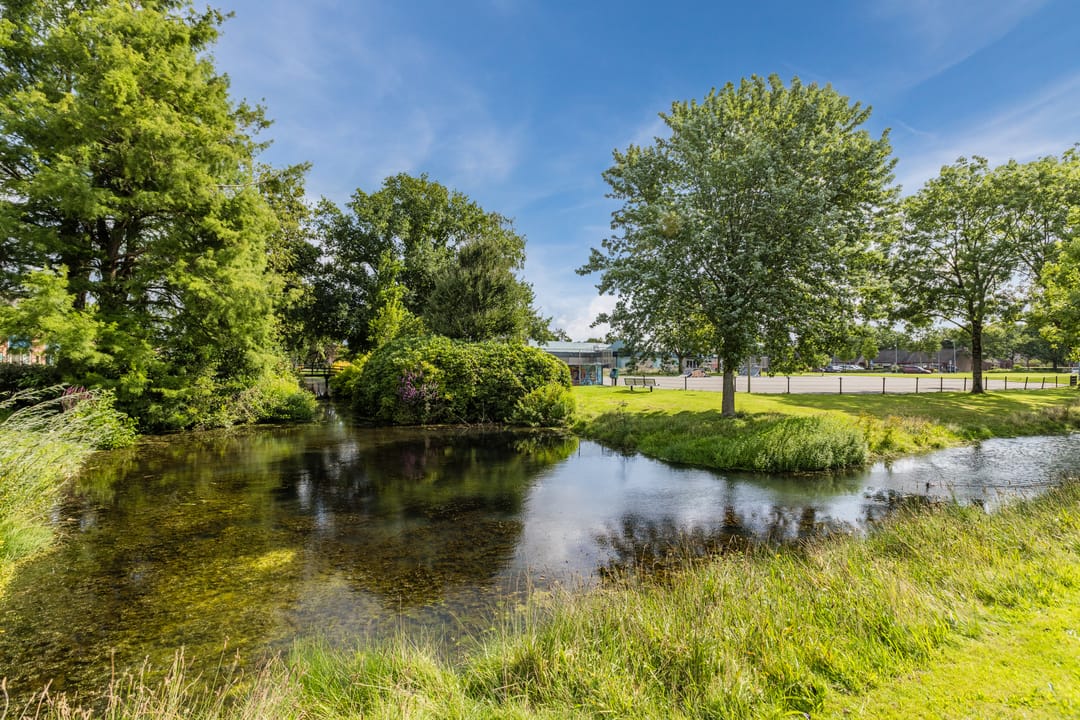 Foto 37 van Ooievaarshof 57