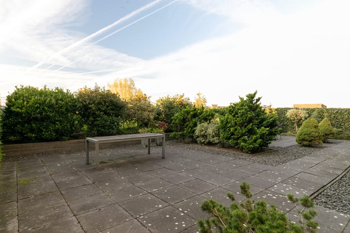 Foto 45 van de Rietmattenmaker 19