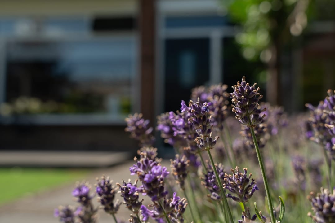 Foto 7 van Statenlaan 15