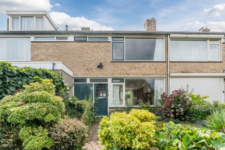 undefined main image