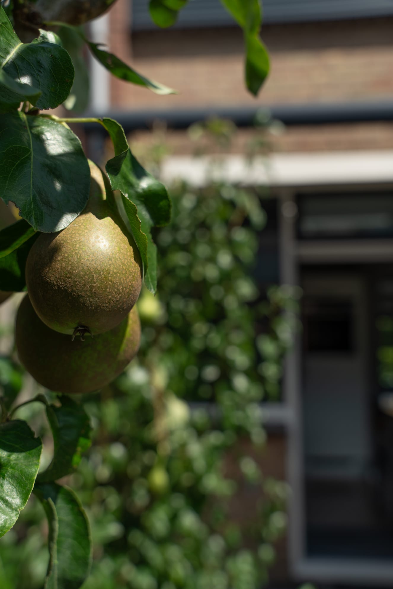 Foto 50 van Statenlaan 15