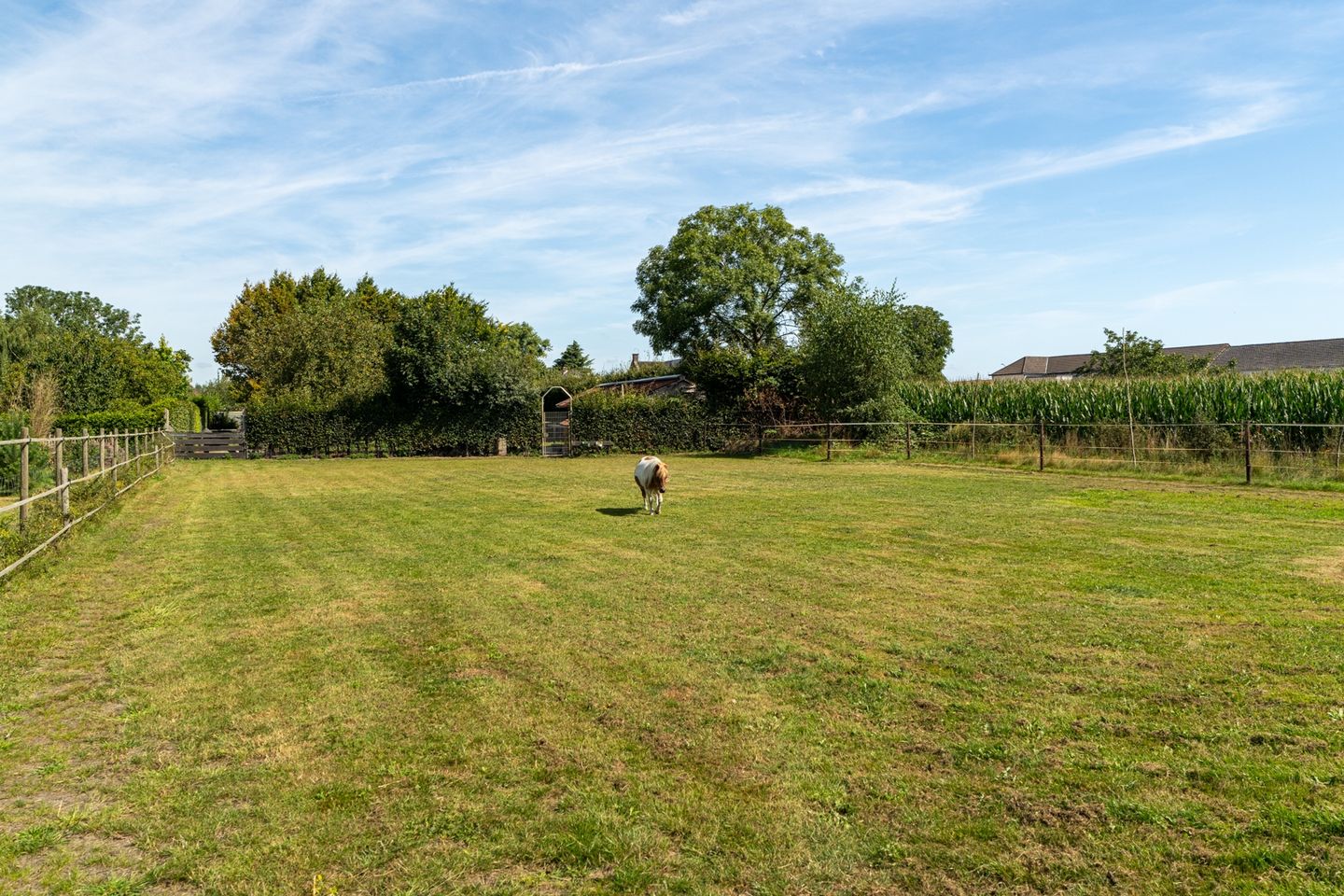 Foto 4 van Heistraat 155