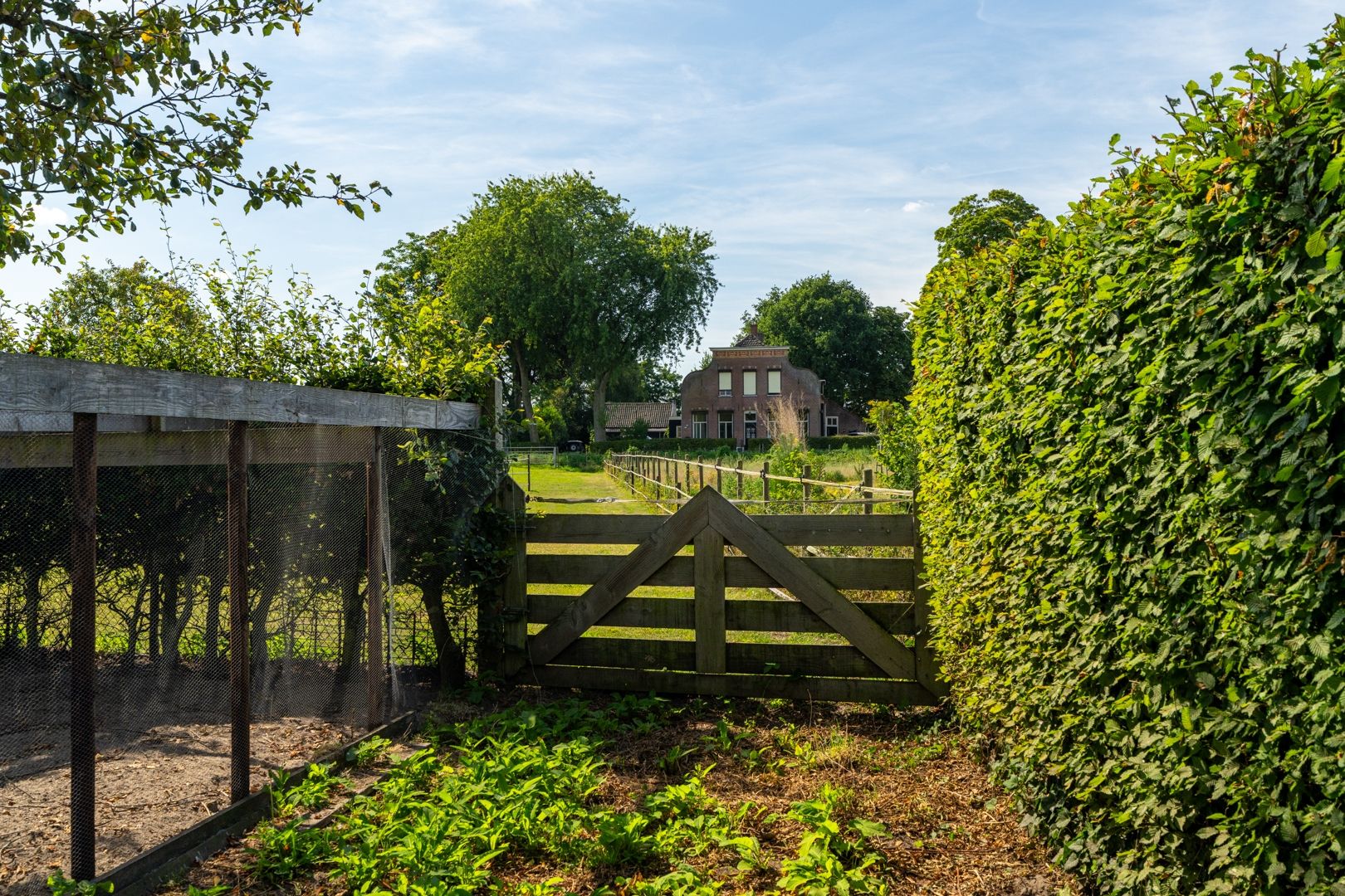 Foto 6 van Heistraat 155