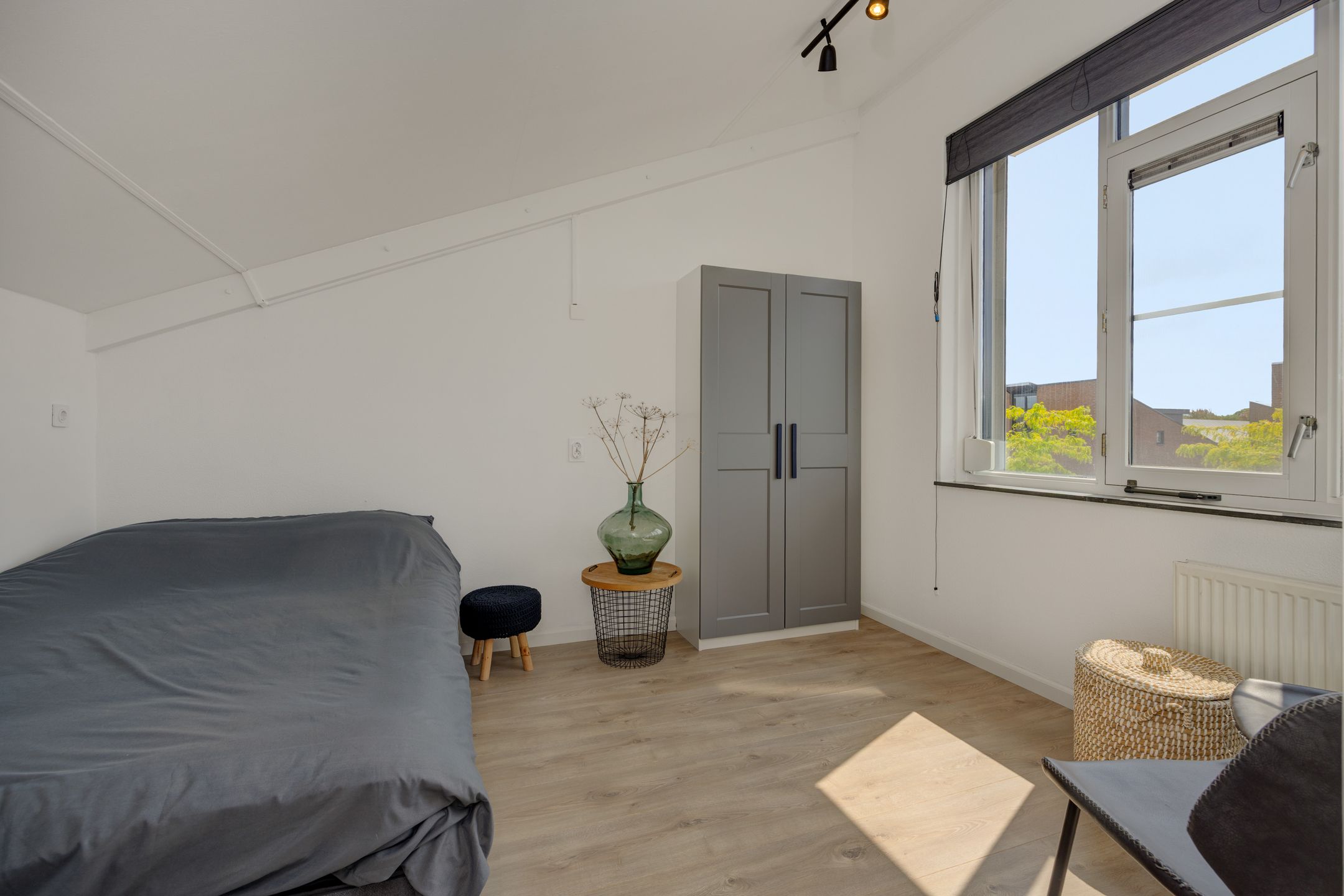 Foto 24 van Berenklauw 50