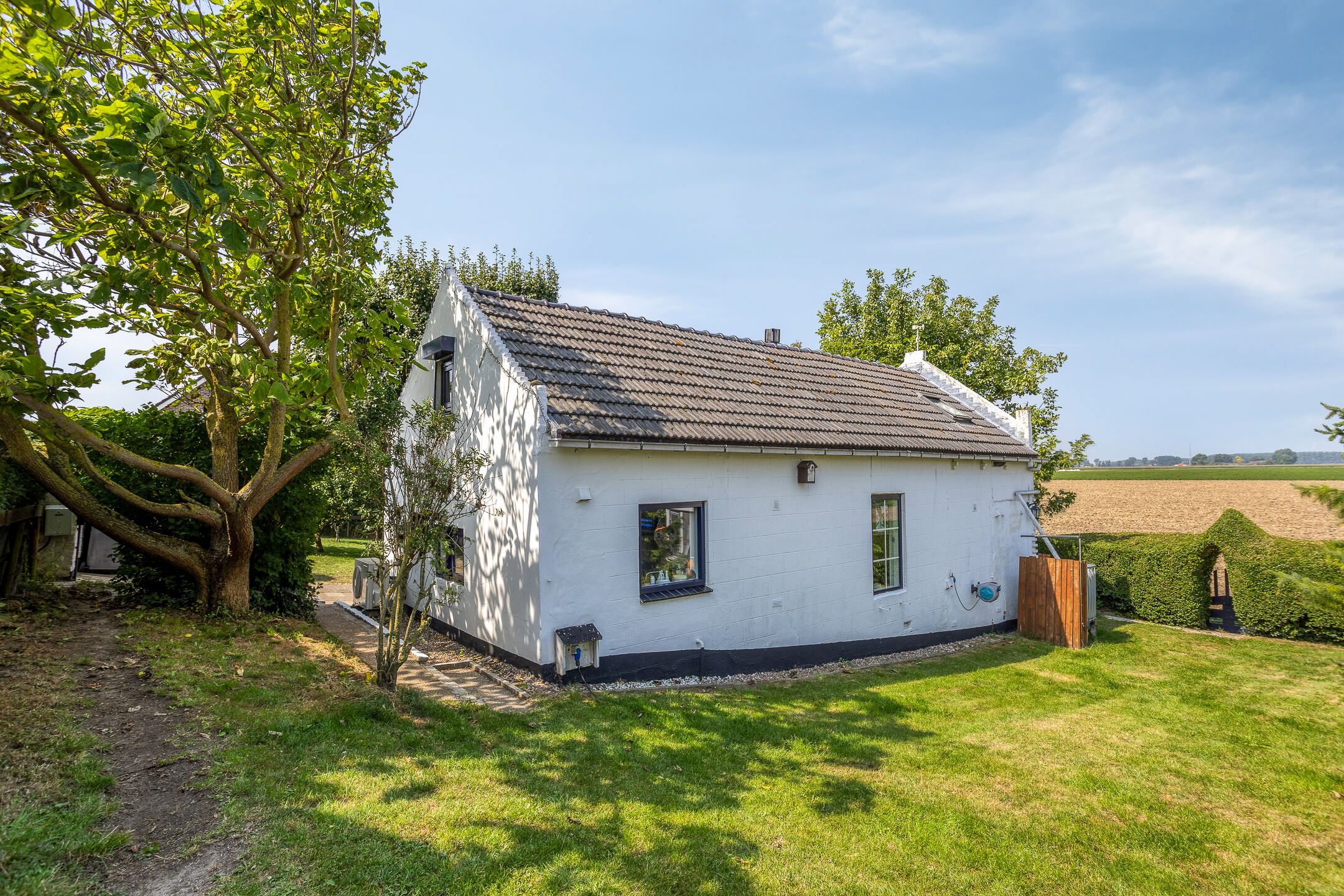 Foto 3 van Kwakkel 17