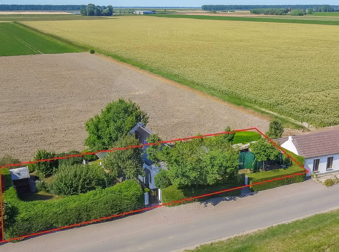 Foto 4 van Kwakkel 17