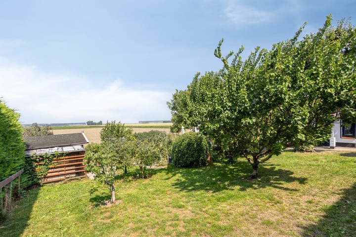 Foto 26 van Kwakkel 17