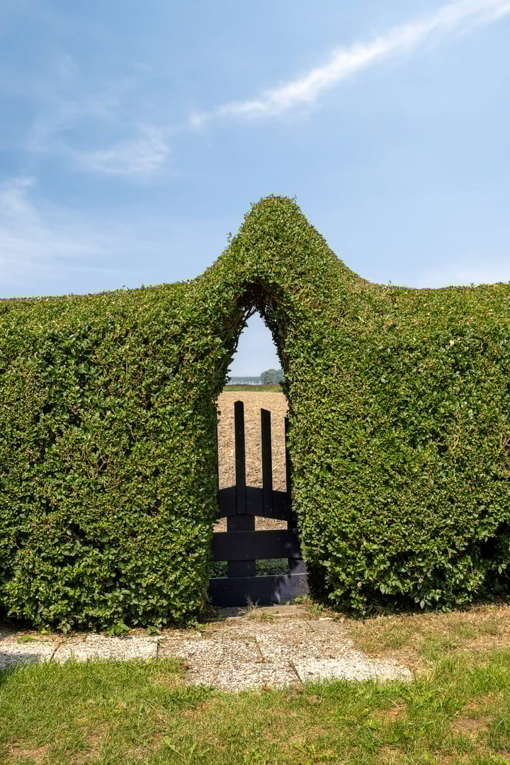 Foto 29 van Kwakkel 17