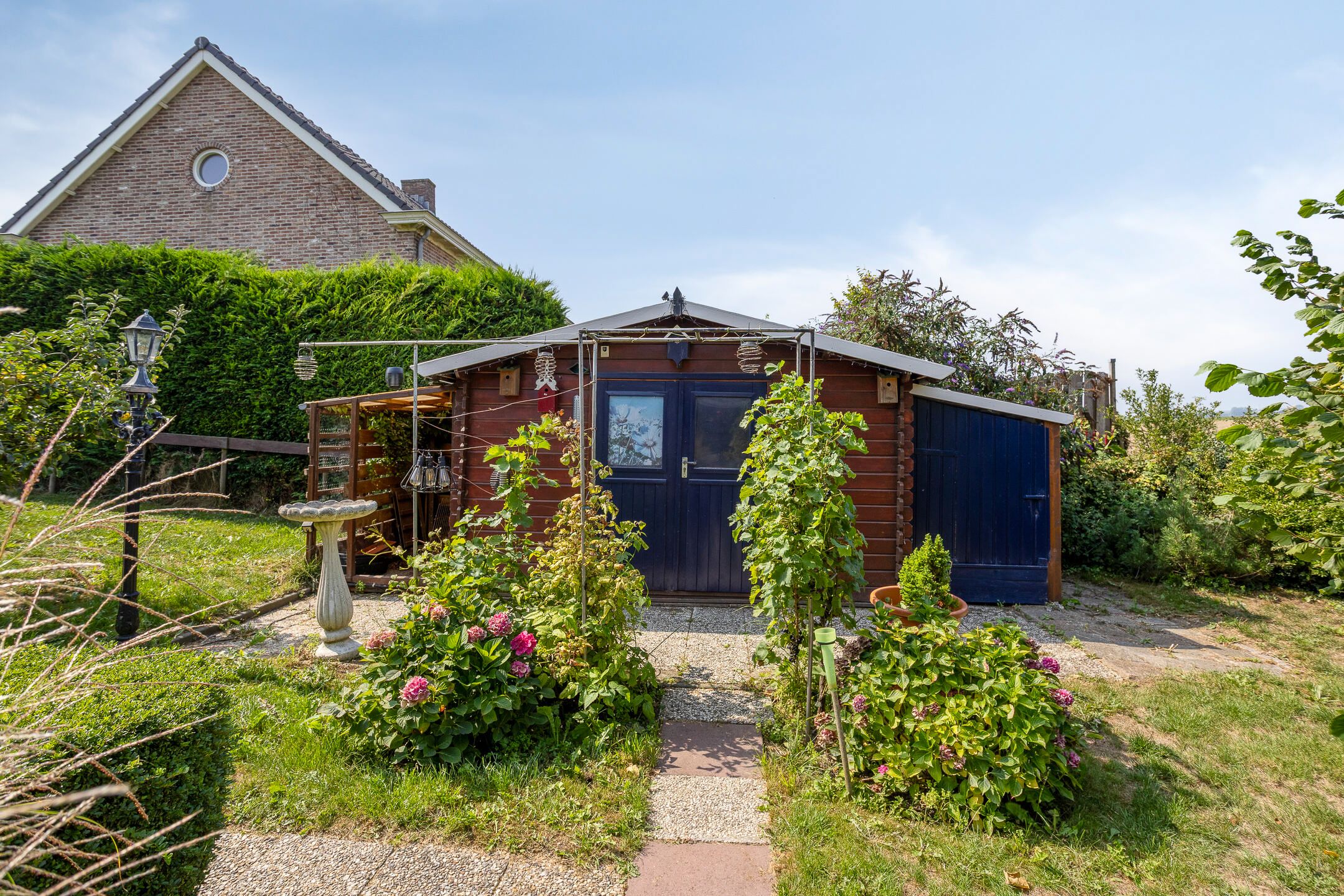 Foto 24 van Kwakkel 17