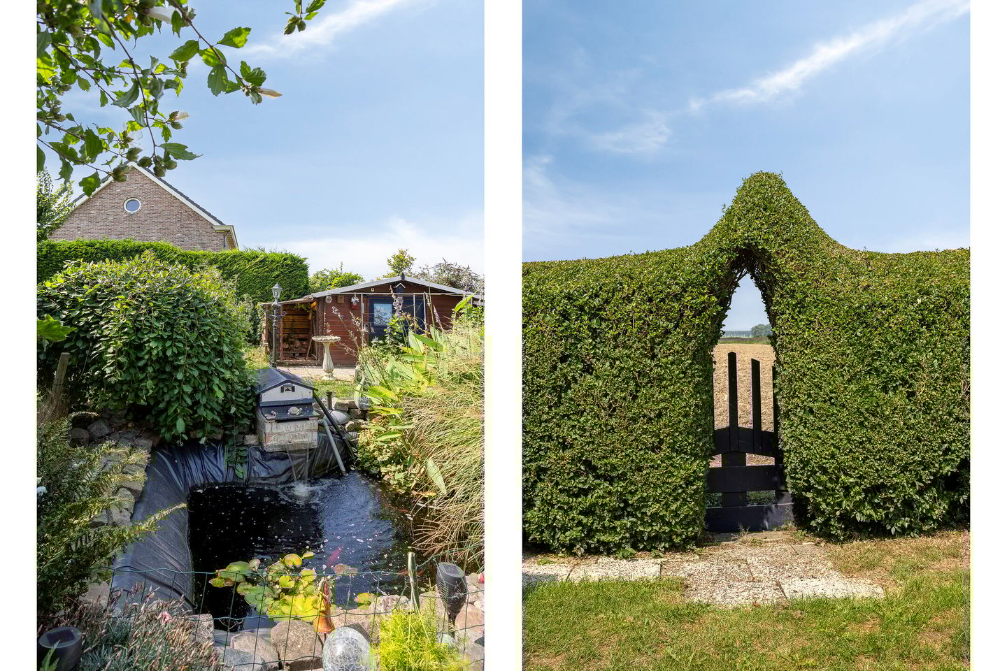 Foto 25 van Kwakkel 17