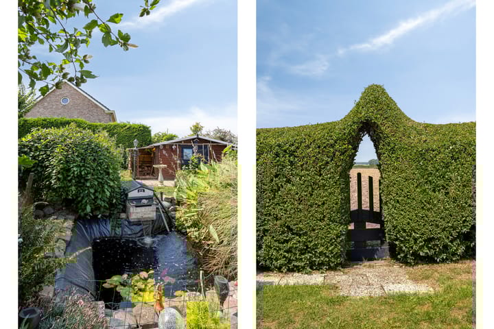 Foto 25 van Kwakkel 17