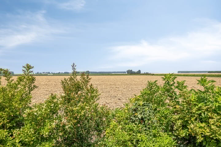 Foto 33 van Kwakkel 17