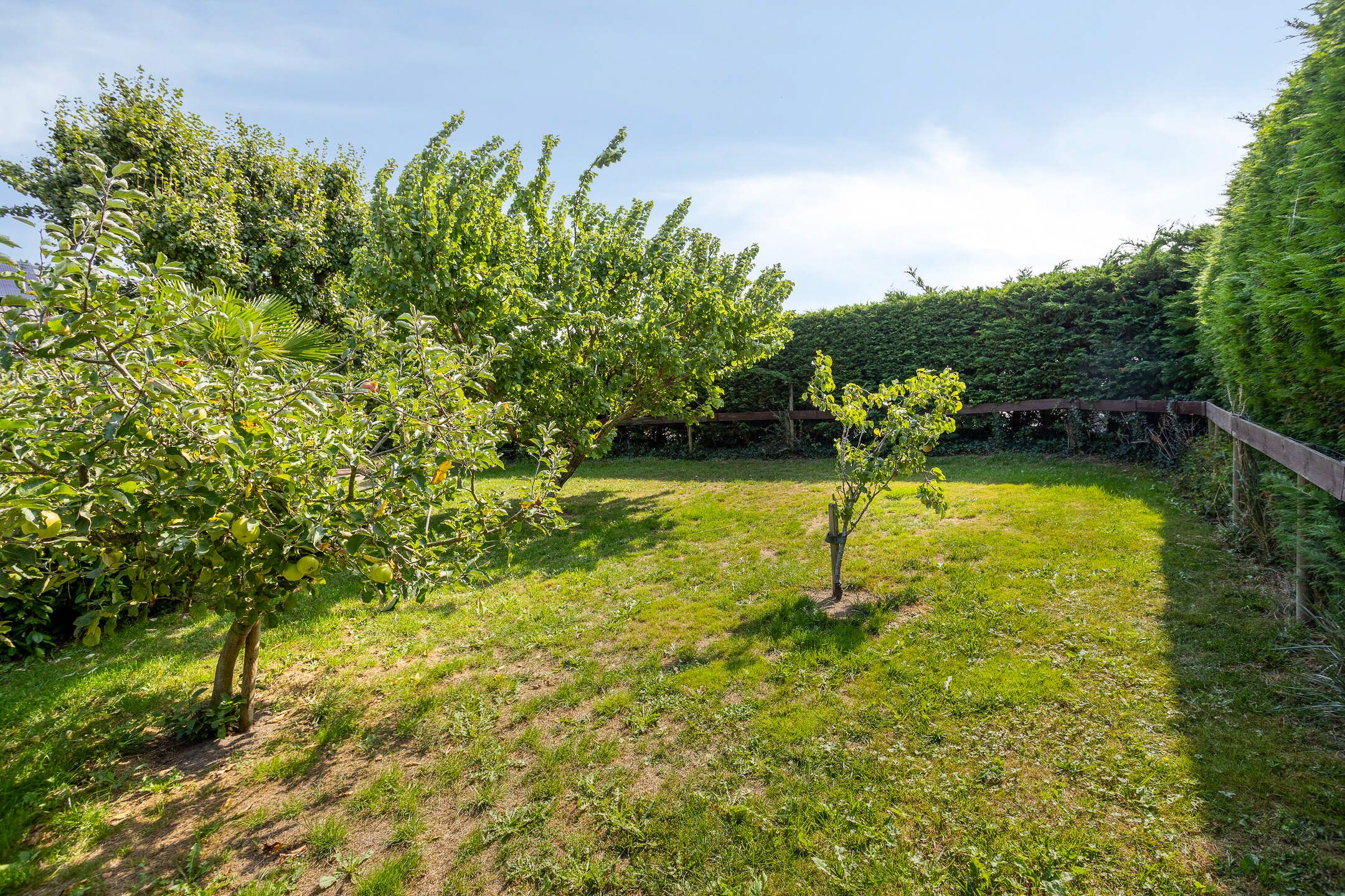 Foto 27 van Kwakkel 17