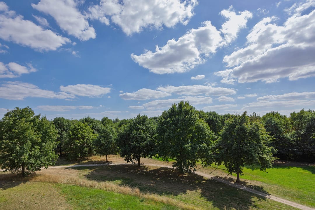 Foto 38 van Holterveste 23