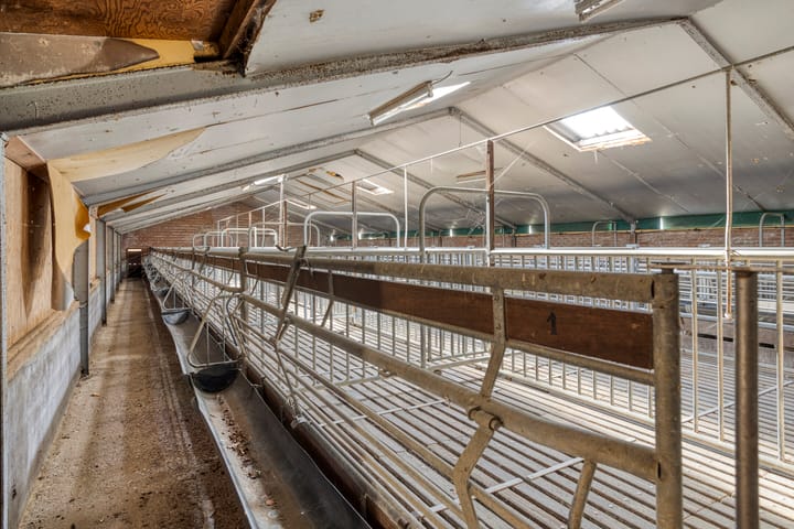 Photo 33 of Hoofdweg 31-B