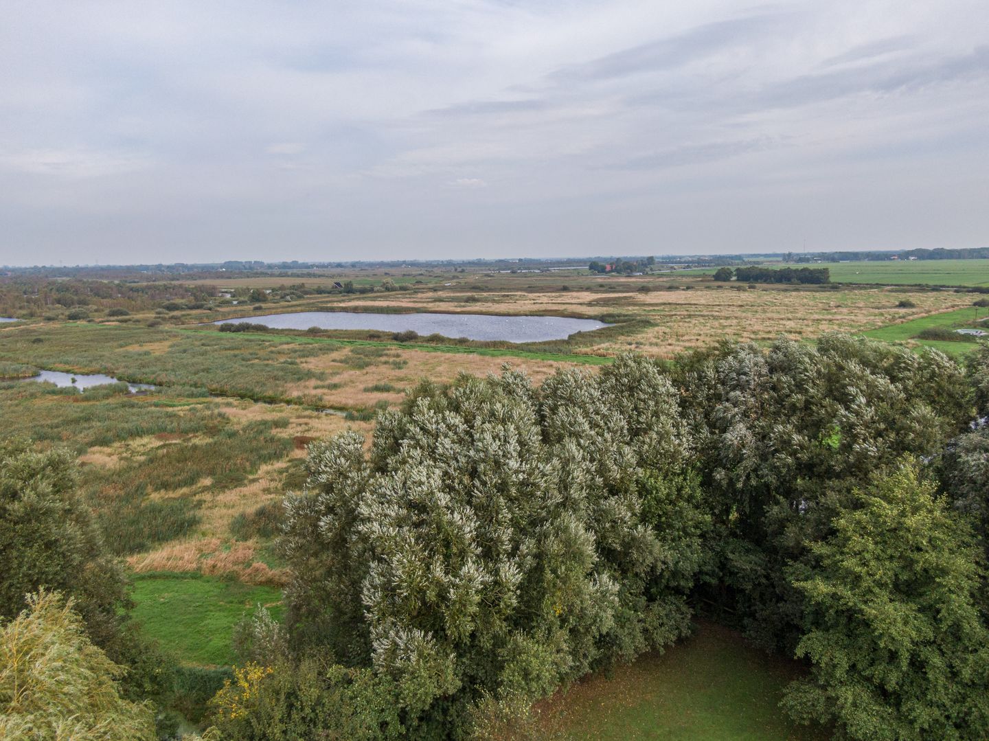 Foto 44 van Hoofdweg 31-B