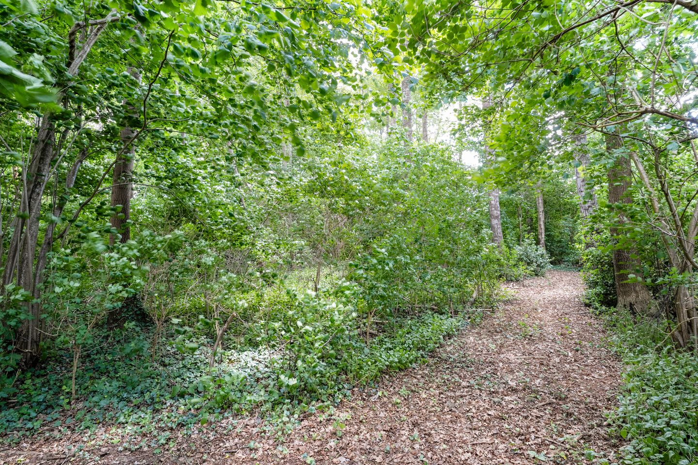 Foto 59 van Anerweg-Noord 154