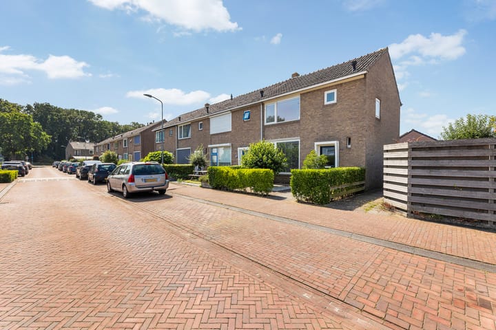 Foto 4 van Pannekoekenkamp 2