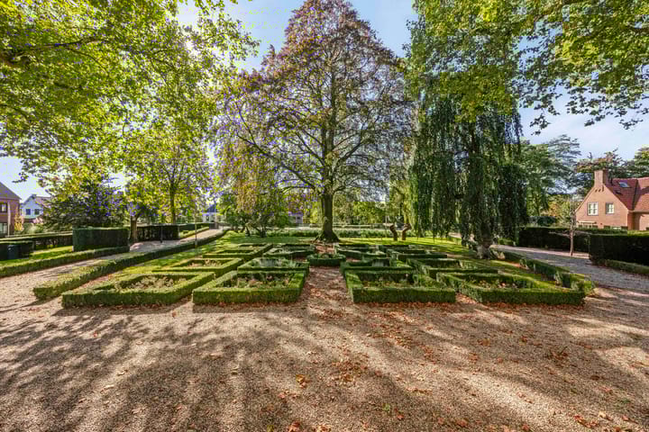 Photo 5 of Pluimenburgsestraat 19