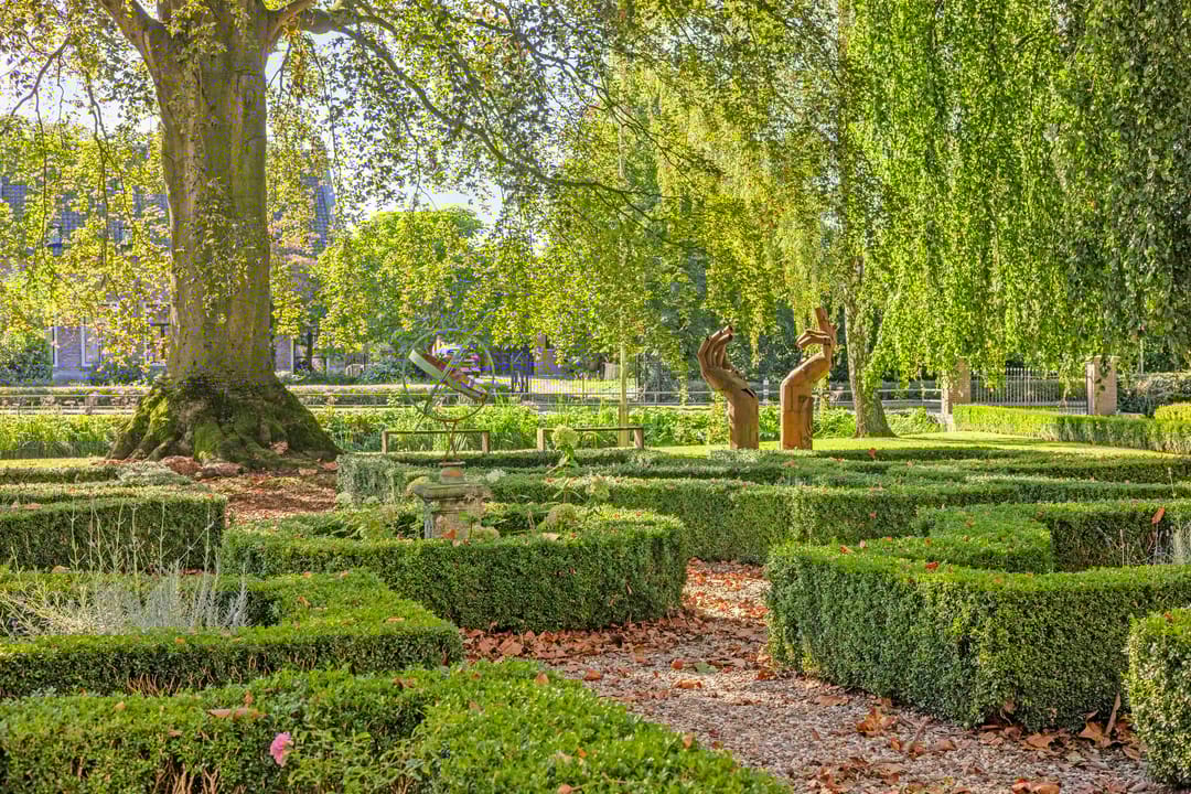 Foto 7 van Pluimenburgsestraat 19