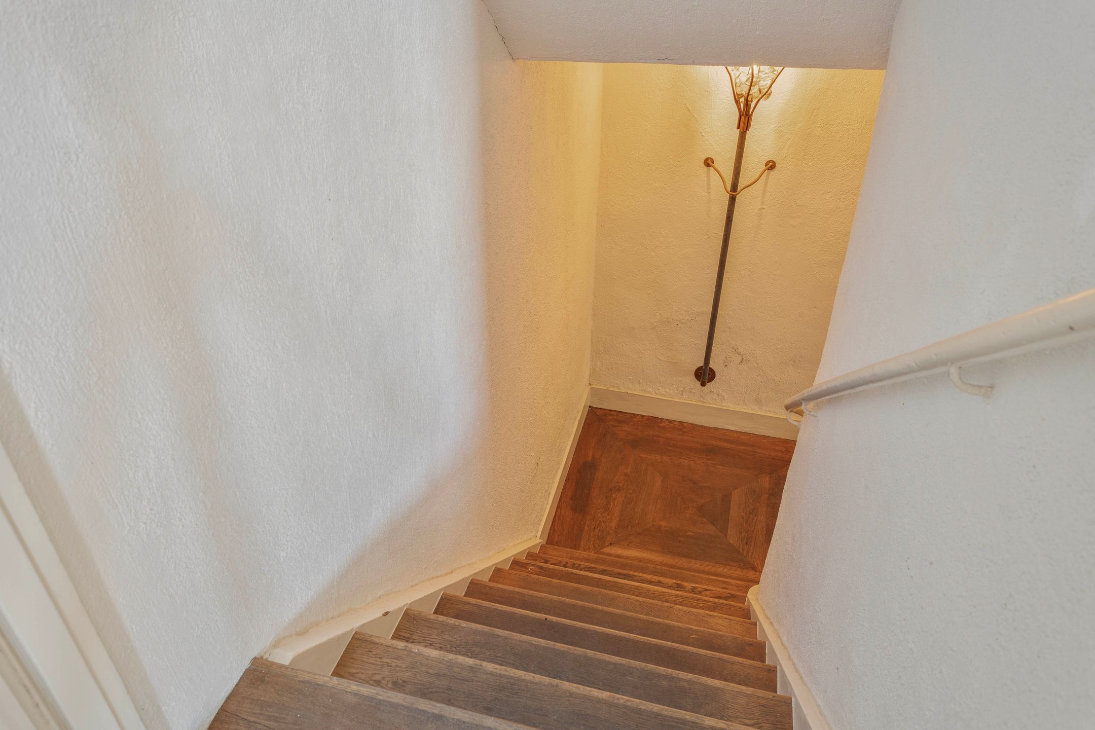 Foto 36 van Pluimenburgsestraat 19