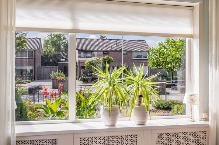 Foto 4 van Burgemeester Mensstraat 7