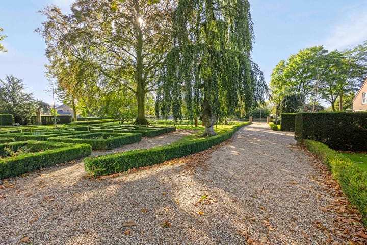 Photo 46 of Pluimenburgsestraat 19