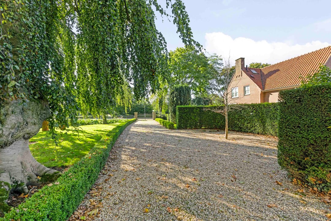 Foto 47 van Pluimenburgsestraat 19