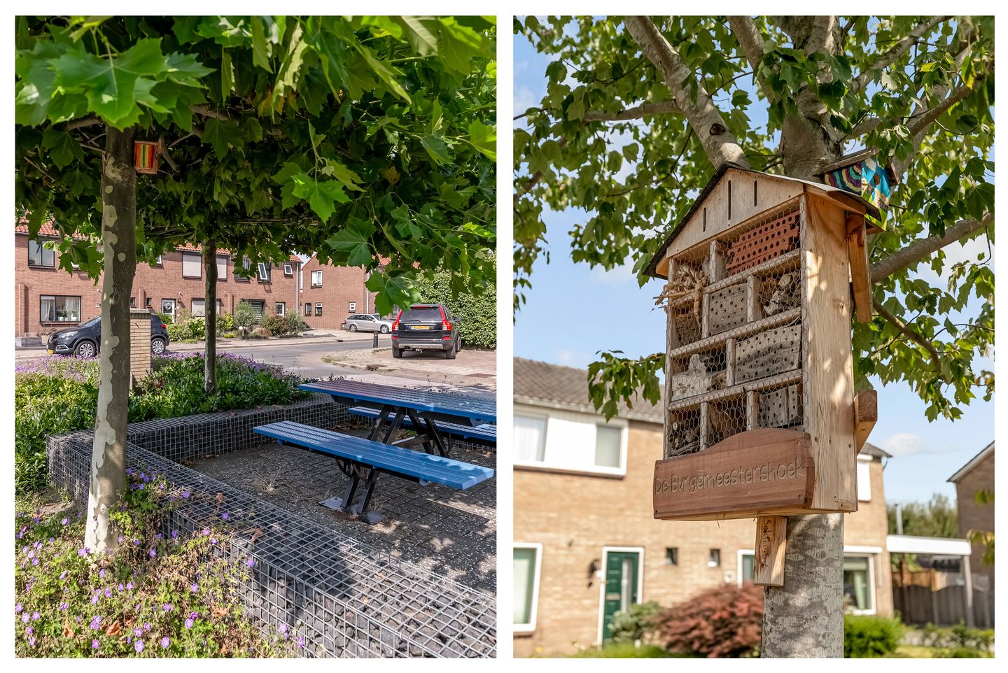 Photo 59 of Burgemeester Mensstraat 7