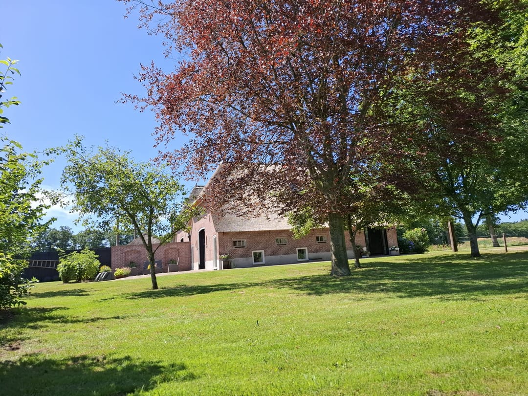 Foto 1 van Wechterholt 4-B