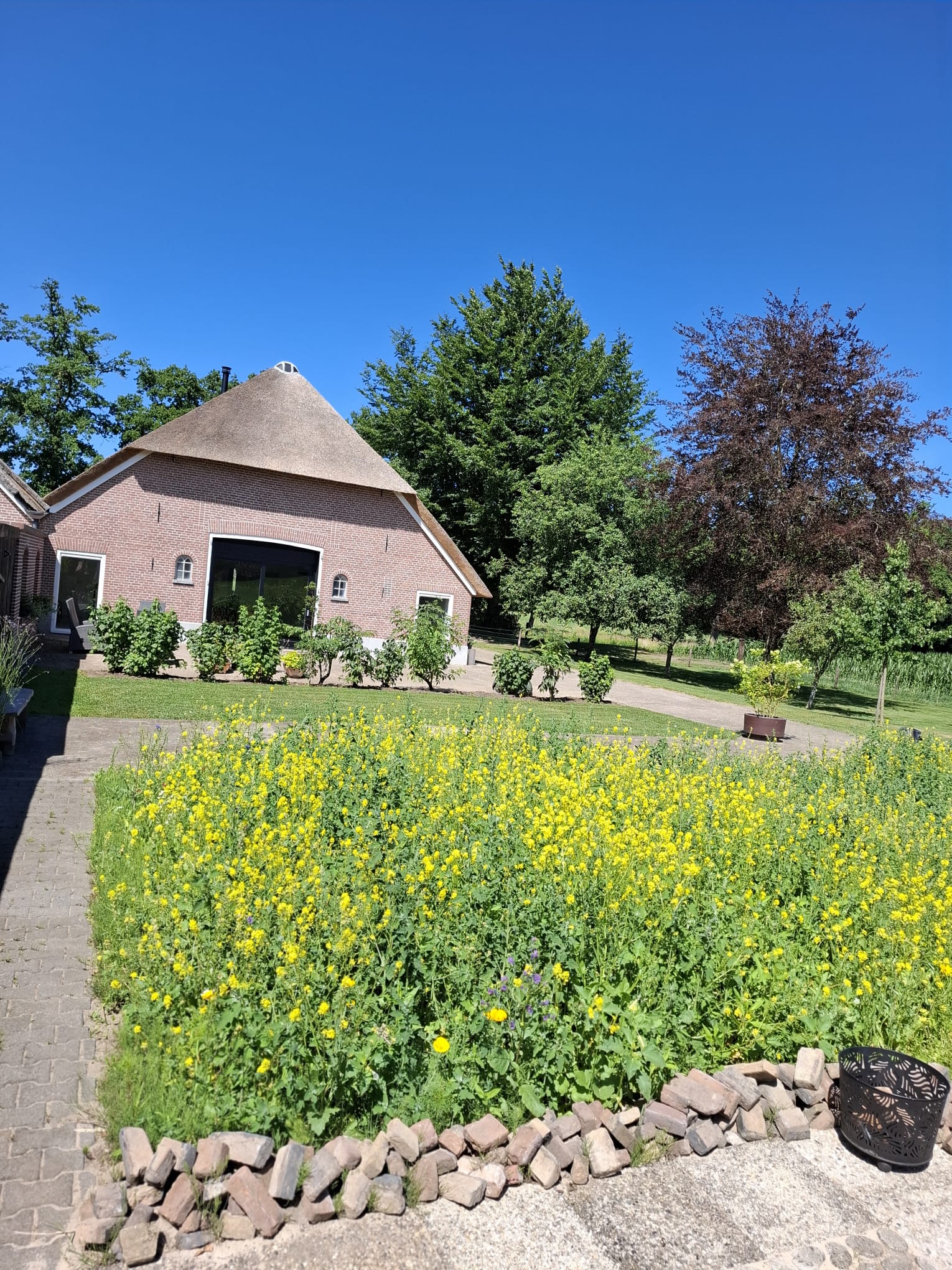 Foto 54 van Wechterholt 4-B