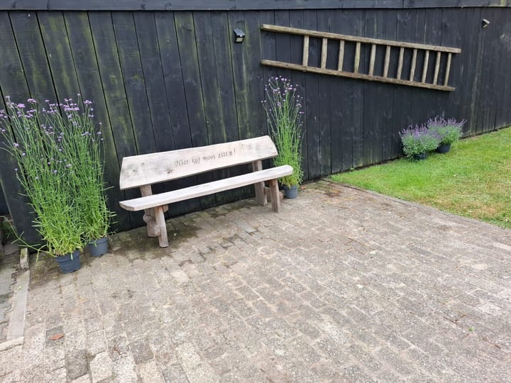 Photo 56 of Wechterholt 4-B