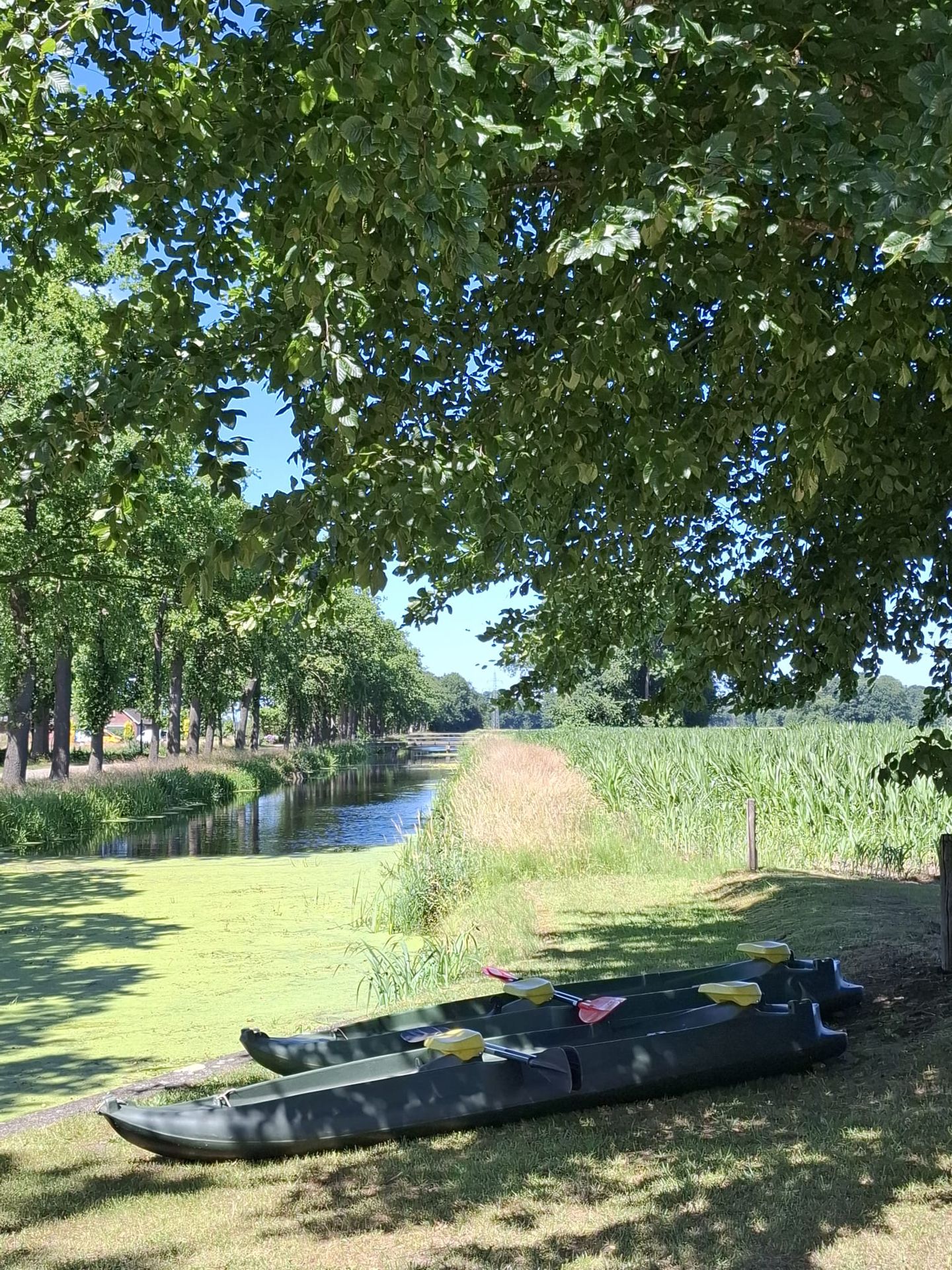 Foto 59 van Wechterholt 4-B