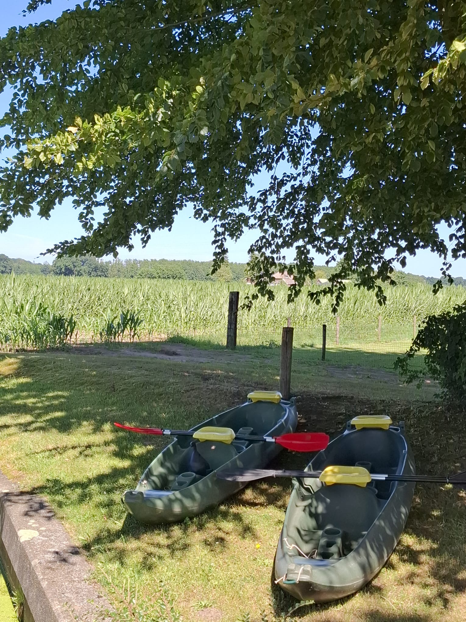 Foto 60 van Wechterholt 4-B